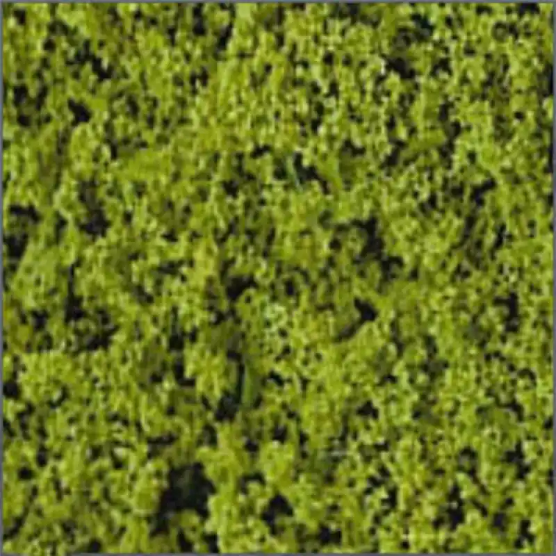 Retour Gratuit Filet floqué vert clair 28 x 14 cm - HEKI 1550