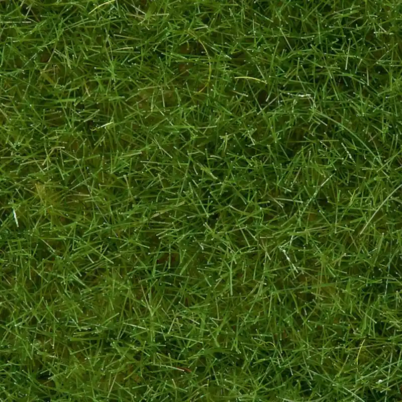 Promotion Pot d‘herbe sauvage 6mm, 100g - NOCH 07092