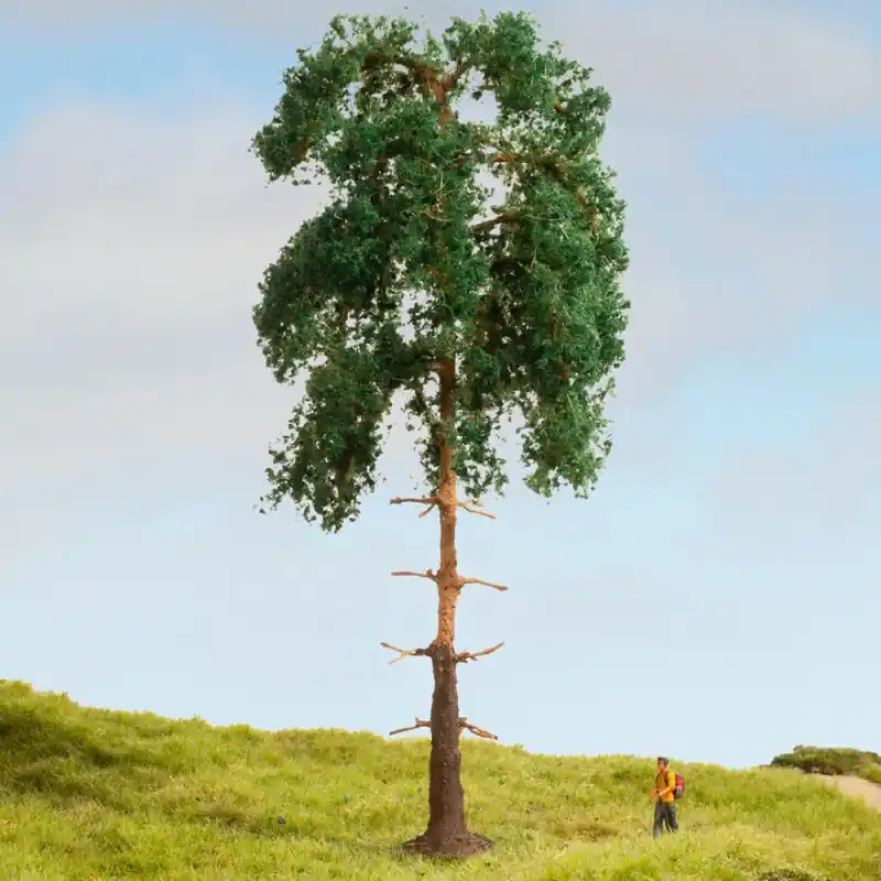 Pin, arbre résineux, hauteur 18 cm "Noch Master" - NOCH 20141 Nouvel Arrivage