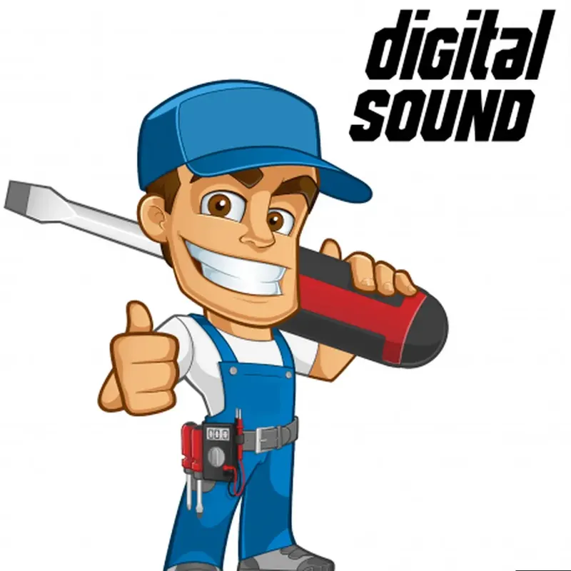 Dernière Chance Décodeur Sonore + Installation par soudure - motrice sans prise NEM