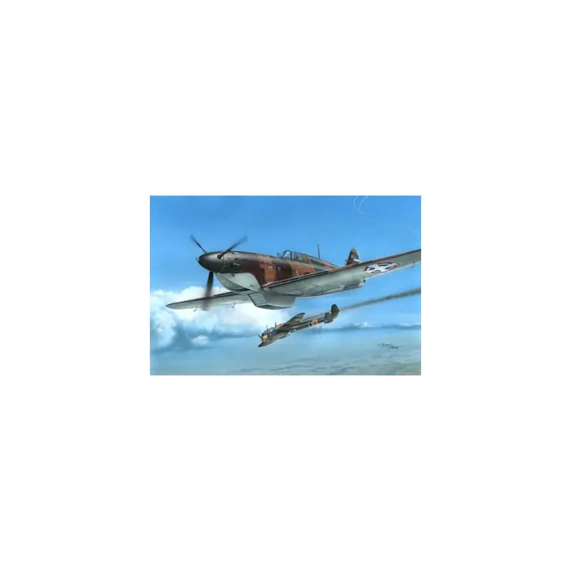 FRROM 012 MAQUETTE AVION MILITAIRE ROGOZARSKI IK-3 APRIL FIGHTS 1/72 Acheter Direct