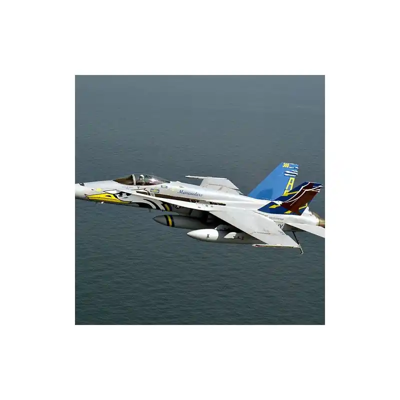 Remise ACADEMY 12534 MAQUETTE AVION F/A-18C U.S NAVY VFA-82 MARAUDERS 1/72