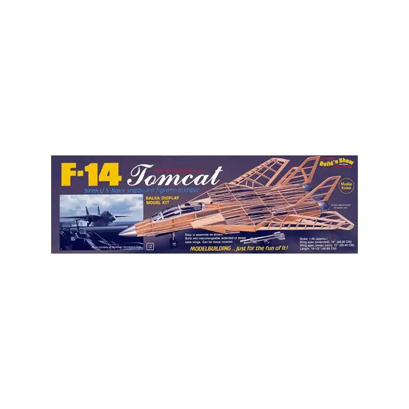 Offre Spéciale Avion de vol libre radiocommandé F-14 TOMCAT