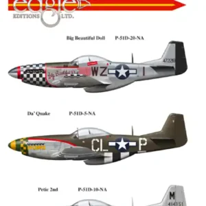 Eagle Editions D142-48 P-51 Ds Prix Réduit
