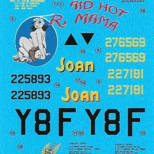 Berna Decals 48160 Republic P-47 D Colourful Thunderbolts - Part 2 Nouveauté