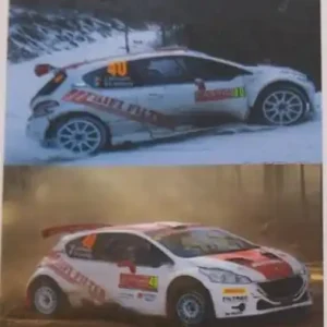 Colorado / Carpena Decals 24068 Peugeot 208 T16 - Rally Monte Carlo / Portugal 2015 Satisfait Ou Remboursé