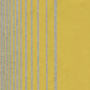Acheter Direct Almark E02 Yellow stripes - Assorted sizes