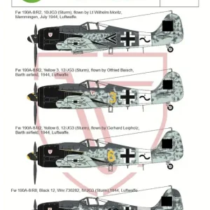 Art Scale Kit D48076 Focke-Wulf Fw 190A Part 2 - Jagdgruppe JG 3 Butcherbirds / Fw 190A-8 Rammjäger Retour Gratuit